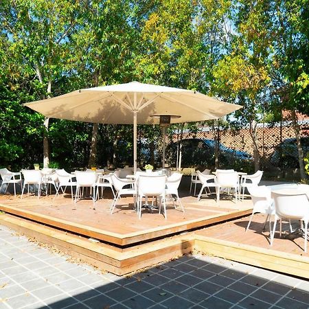 Horse And Jockey Hotel Homebush ซิดนีย์ ภายนอก รูปภาพ